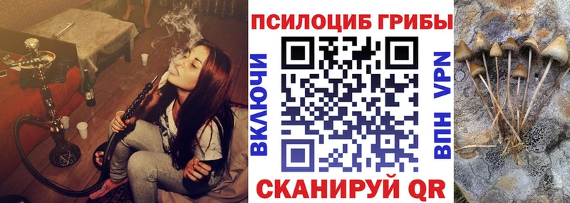 Псилоцибиновые грибы MAGIC MUSHROOMS  Темников 